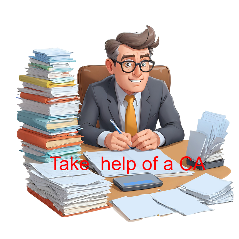 CA helps you to file IT Returns
