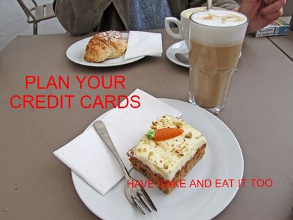 PLAN BANK ACCOUNTS, EXPENSES , CREDIT CARD USE TO EARN EXTRA INCOME