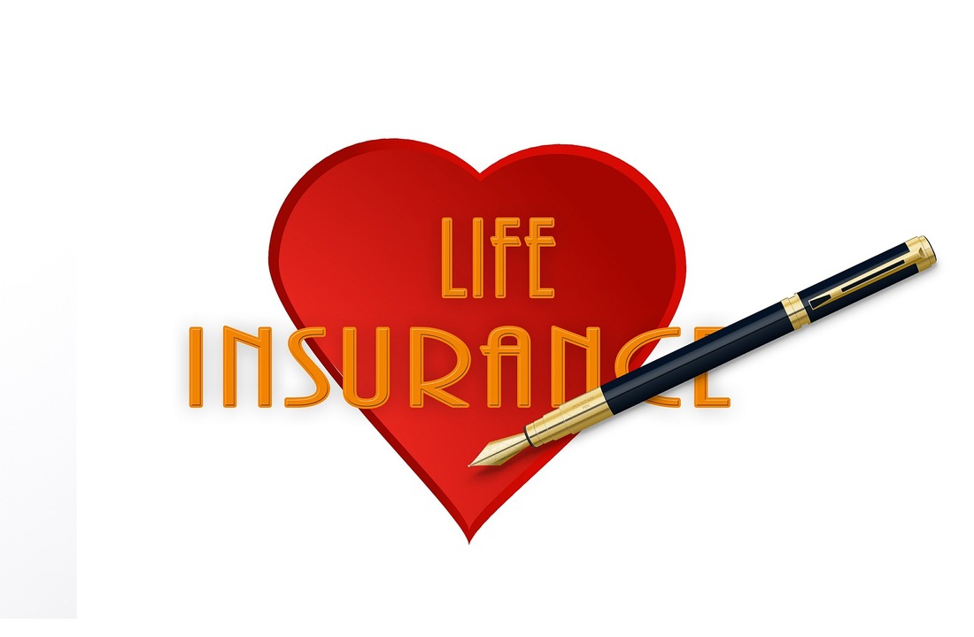 LIST OF INDIAN LIFE INSURERS 