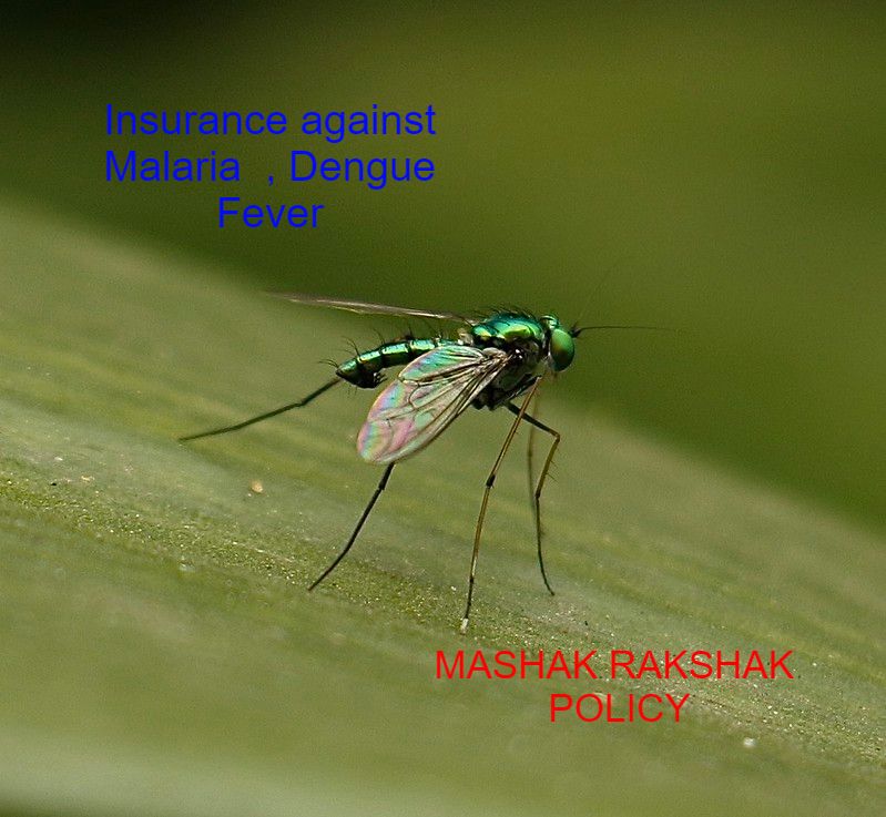 MASHAK RAKSHAK POLICY 