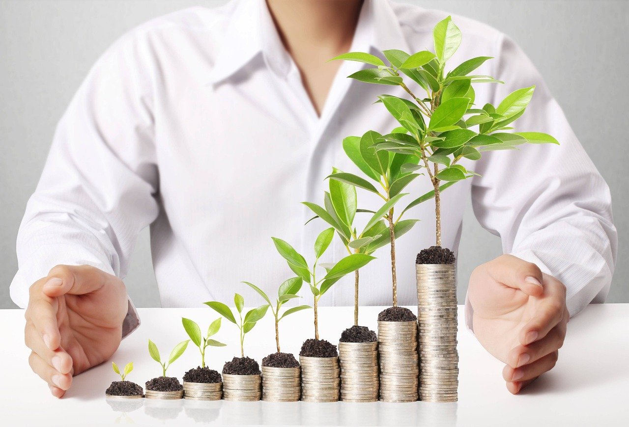 INDIAN ECONOMY ON GROWTH PATH 